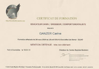 Diplome éducateur canin